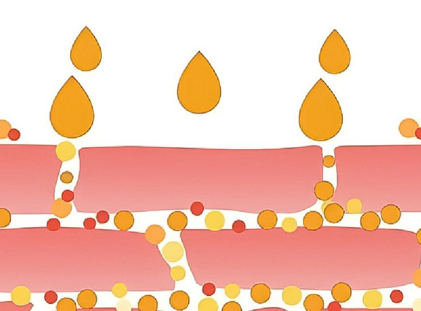 3% Ceramide Complex