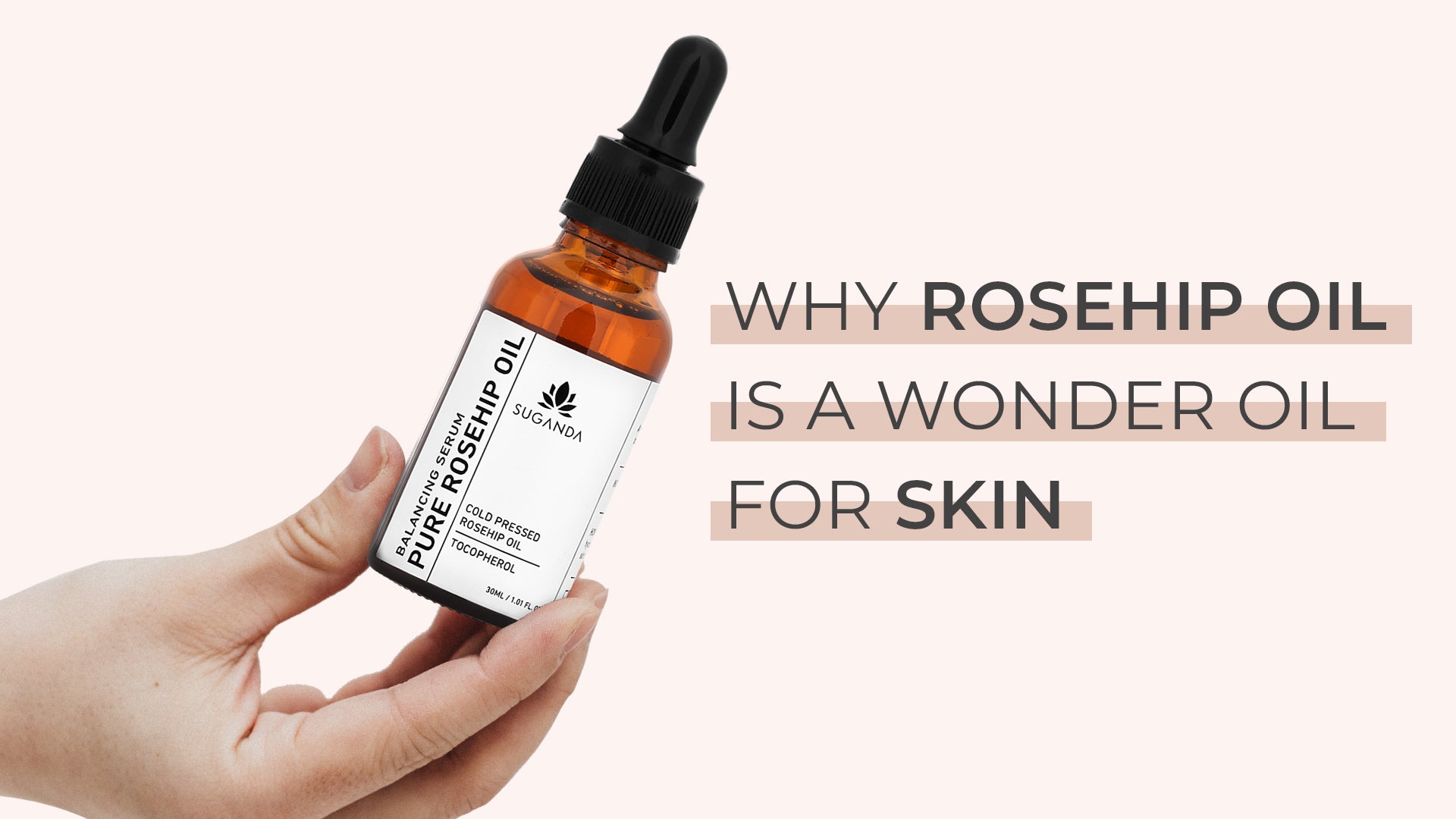 Why Rosehip Oil is A Wonder Oil For Skin?