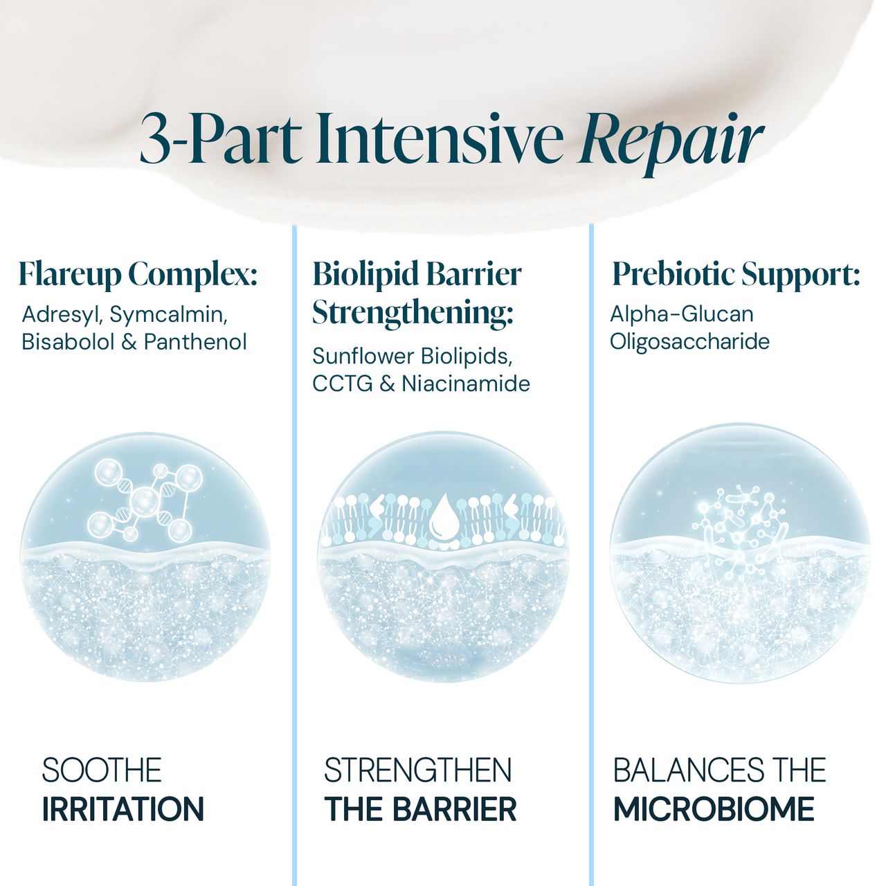 Complete Care for Dry & Eczema-Prone Skin