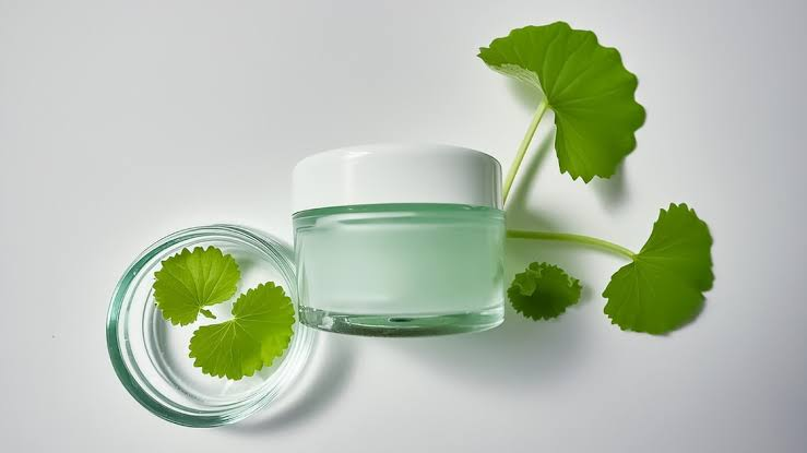 Cica Cream A New Skincare Routine For Dry And Sensitive Skin: Understanding Cica Benefits for Skin